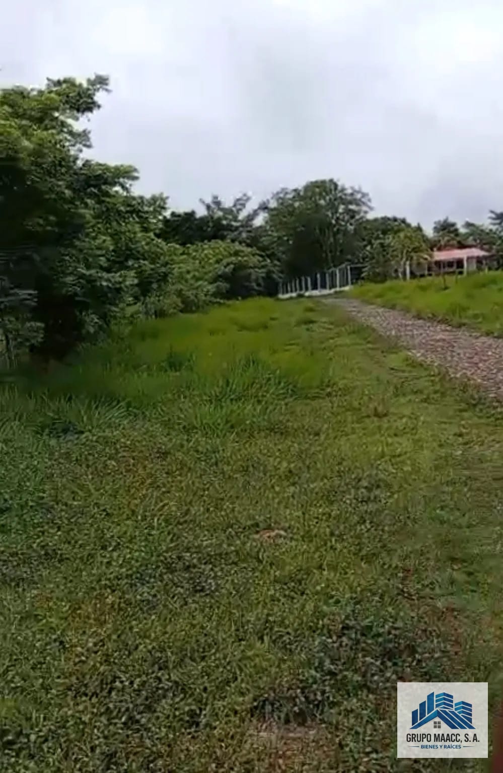Venta Finca Ganadera y Agrícola Guanagazapa — Finca en Venta en Guanagazapa, Escuintla — foto 7 de 9