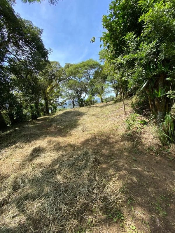 Se Vende Finca para Uso Agrícola Santa Elena Barillas, Villa Canales — Finca en Venta en Villa Canales, Guatemala, Ciudad — foto 3 de 3