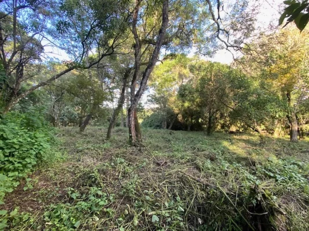 Terreno en Venta Premier Campestre CAES KM 22.5 — Terreno en Venta en Carretera a El Salvador, Guatemala, Ciudad — foto 1 de 4