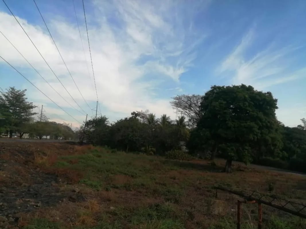 TERRENO EN RENTA Autopista de Escuintla hacia Puerto Quetzal Km 70.5 — Terreno en Alquiler en Escuintla, Escuintla — foto 1 de 2
