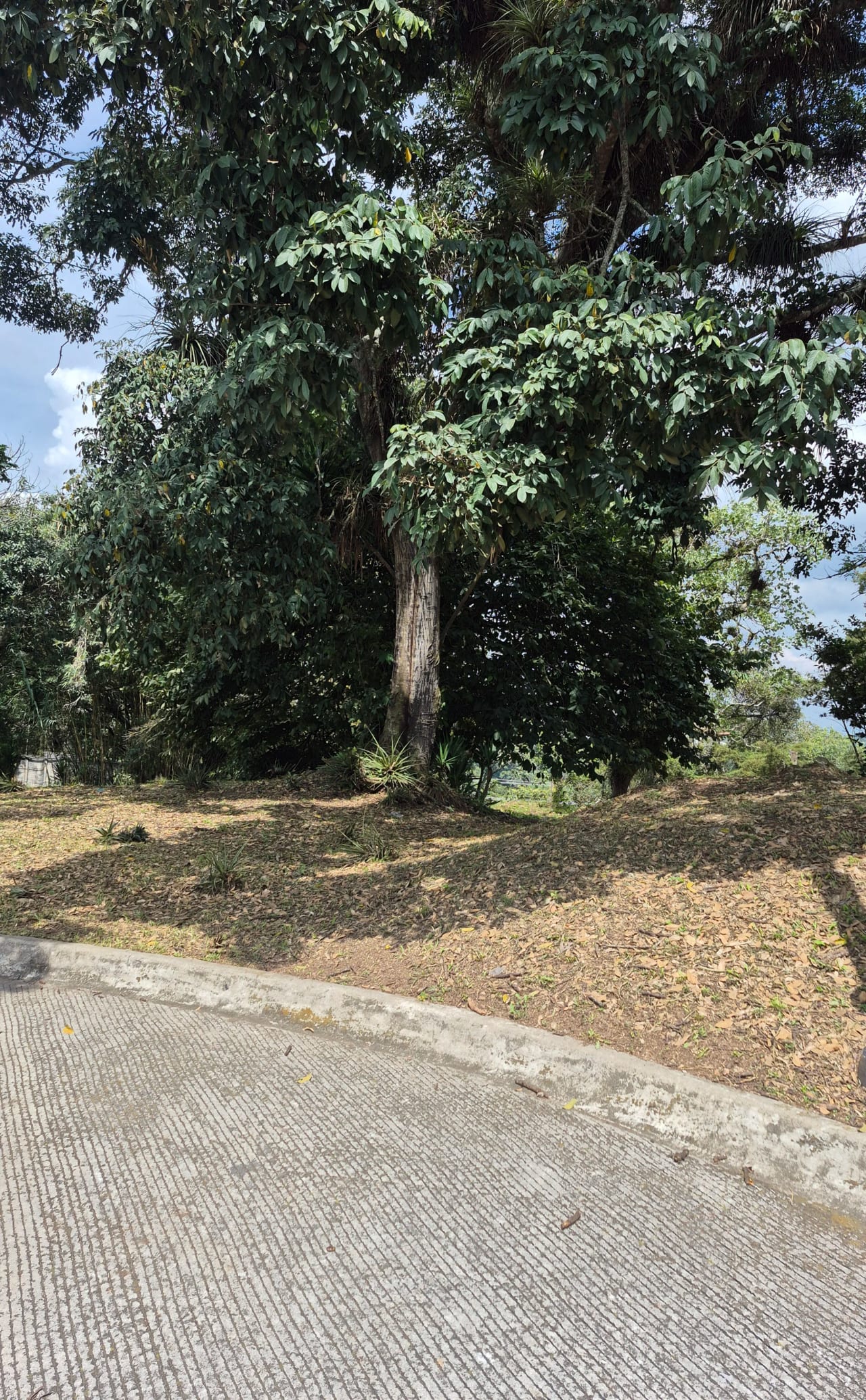 Terreno en Venta en Club de Golf San Isidro, Zona 16 — Terreno en Venta en San Isidro, Zona 16, Guatemala, Ciudad — foto 3 de 6