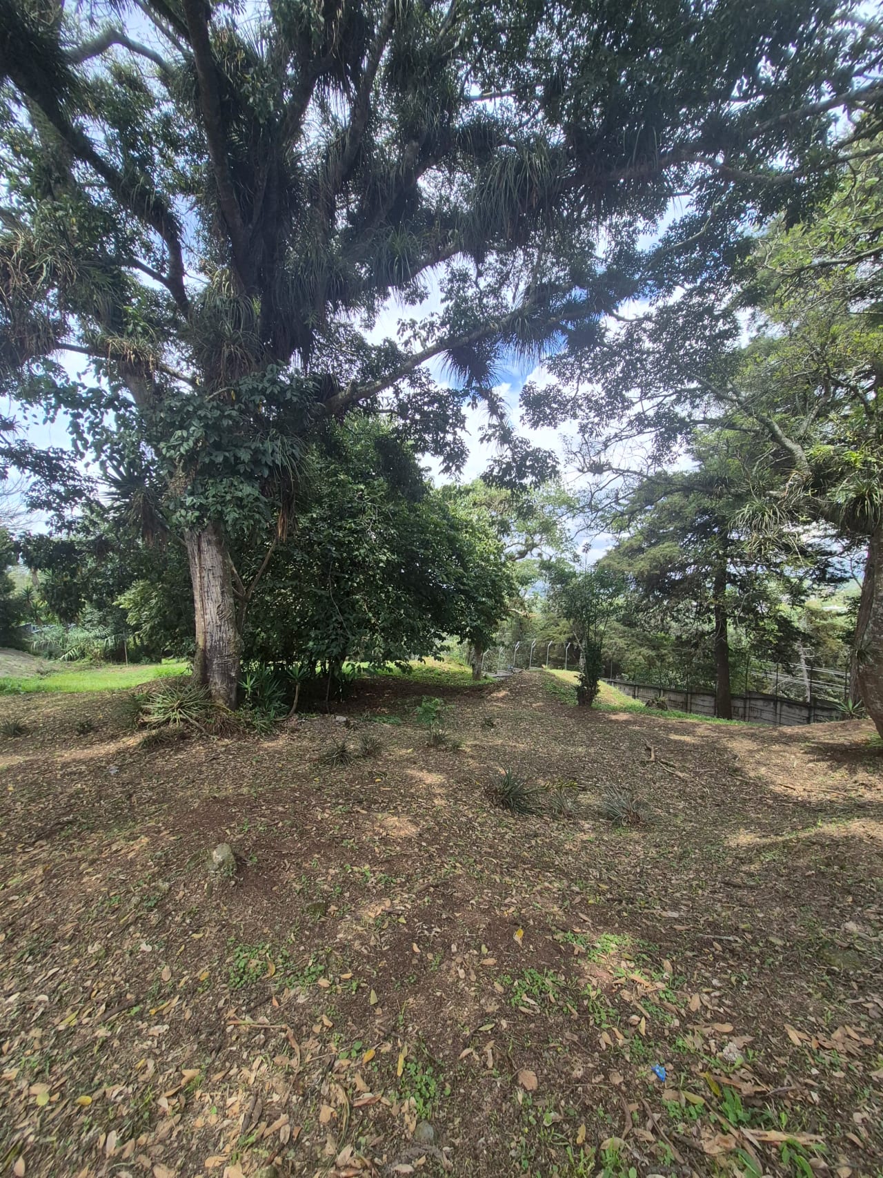 Terreno en Venta en Club de Golf San Isidro, Zona 16 — Terreno en Venta en San Isidro, Zona 16, Guatemala, Ciudad — foto 4 de 6