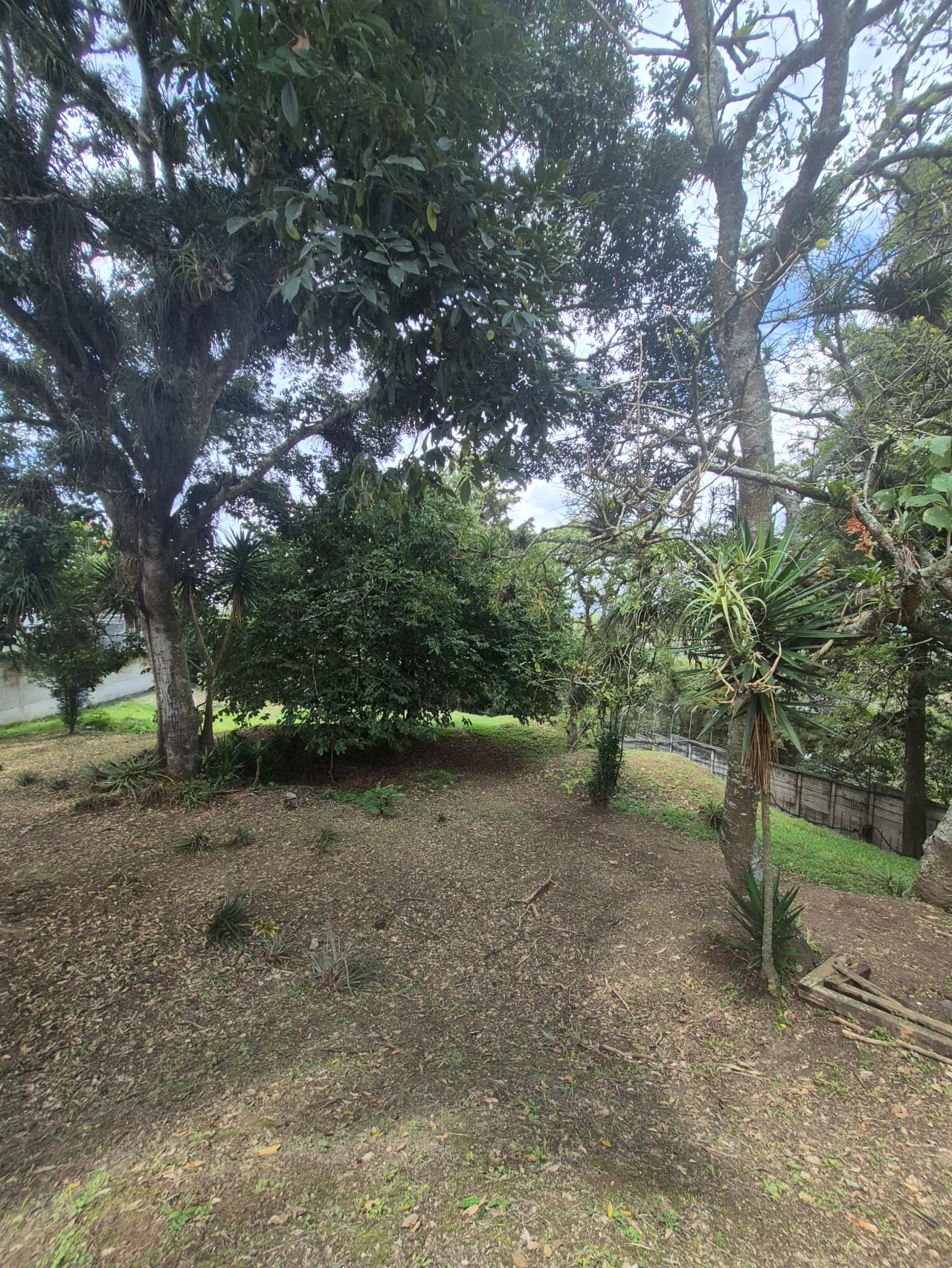 Terreno en Venta en Club de Golf San Isidro, Zona 16 — Terreno en Venta en San Isidro, Zona 16, Guatemala, Ciudad — foto 5 de 6