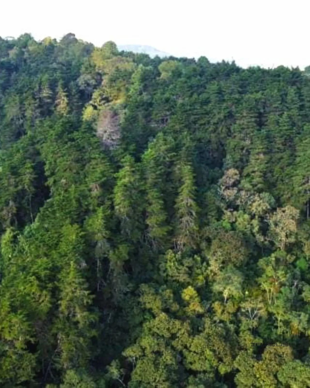 TERRENO EN VENTA EN SAN JOSE PINULA — Terreno en Venta en San José Pinula, Guatemala, Ciudad — foto 6 de 6