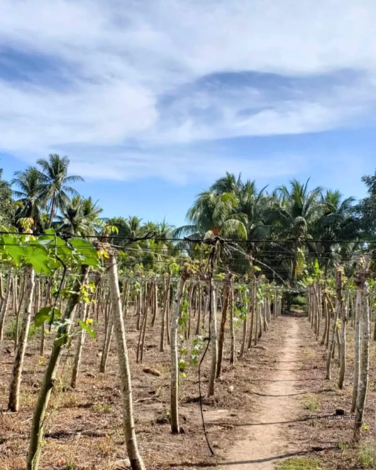TERRENO EN VENTA ESCUINTLA KM 101 — Terreno en Venta en Puerto San José, Escuintla — foto 6 de 10