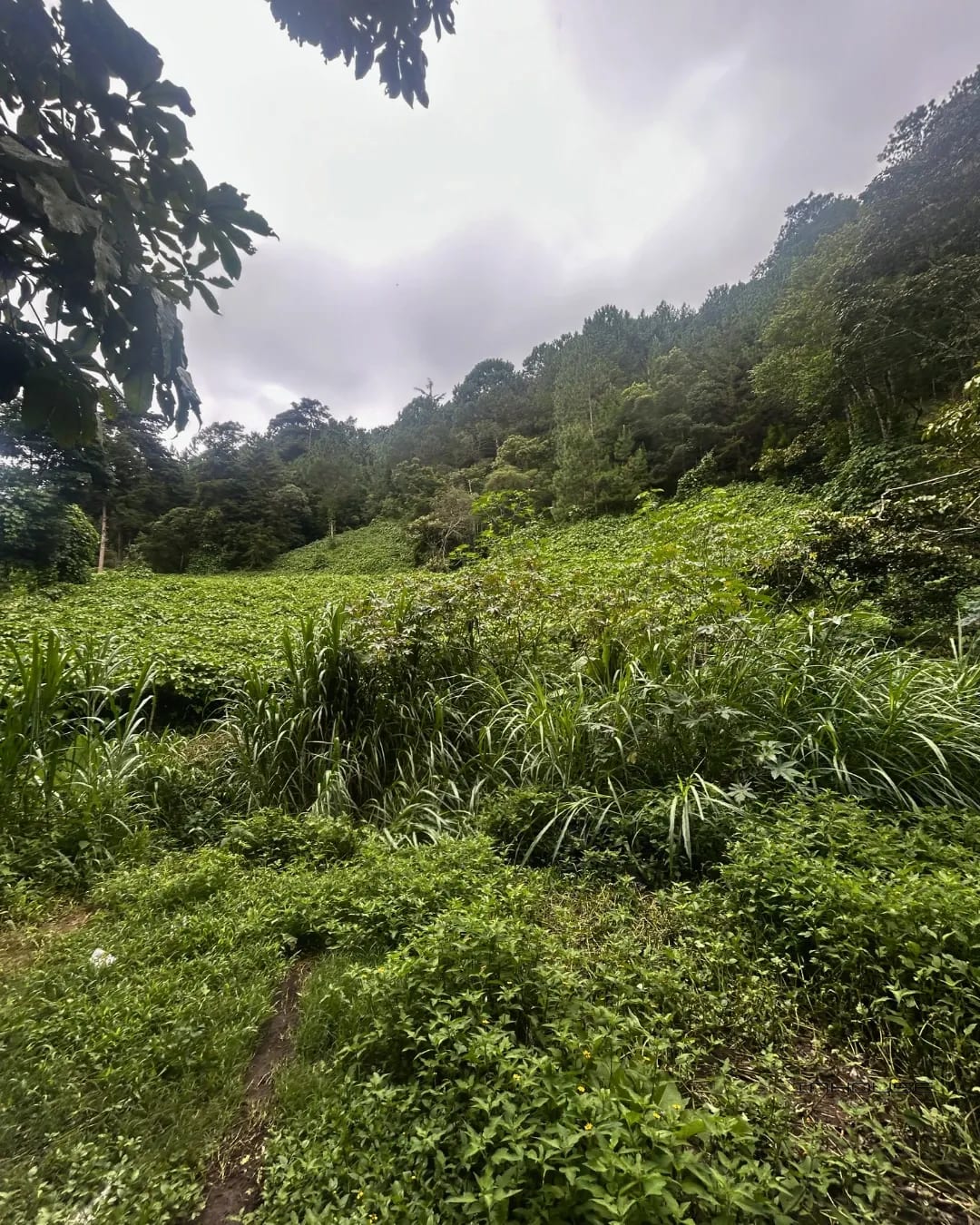 Terreno en Venta, Cienega Grande — Terreno en Venta en San José Pinula, Guatemala, Ciudad — foto 3 de 9