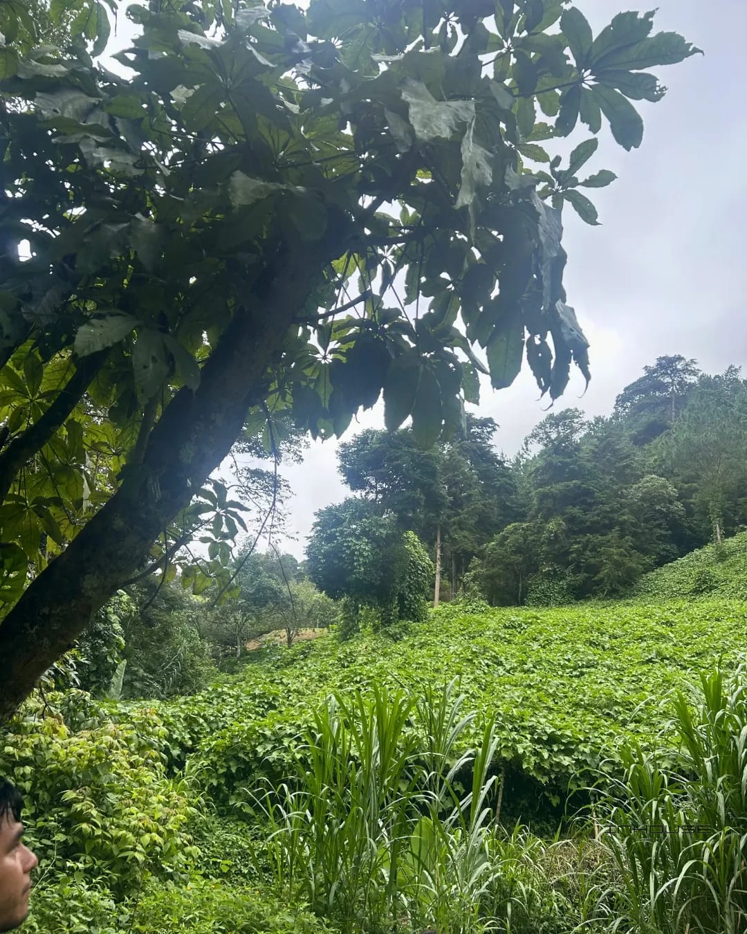 Terreno en Venta, Cienega Grande — Terreno en Venta en San José Pinula, Guatemala, Ciudad — foto 4 de 9