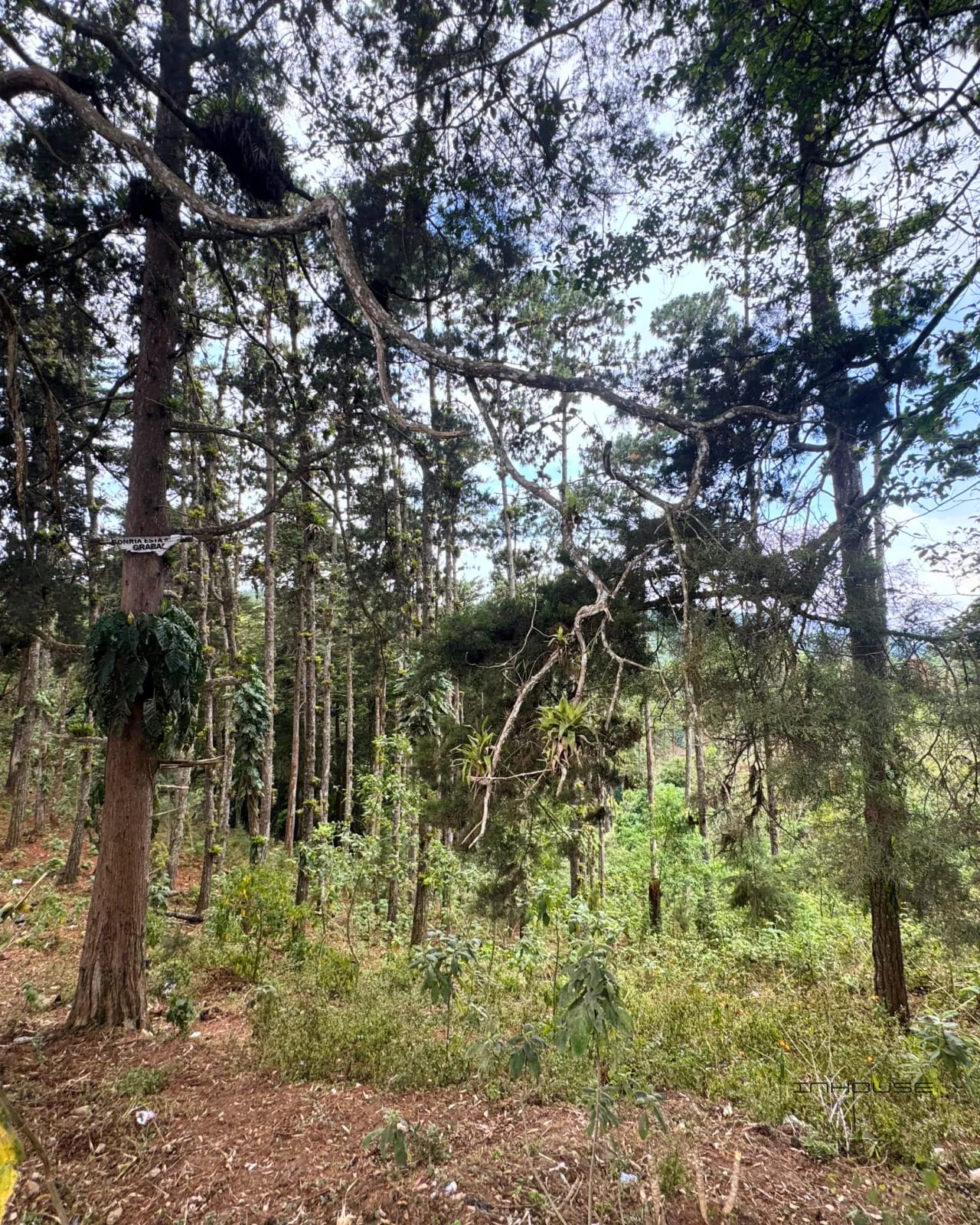 Terreno en Venta, Cienega Grande — Terreno en Venta en San José Pinula, Guatemala, Ciudad — foto 8 de 9