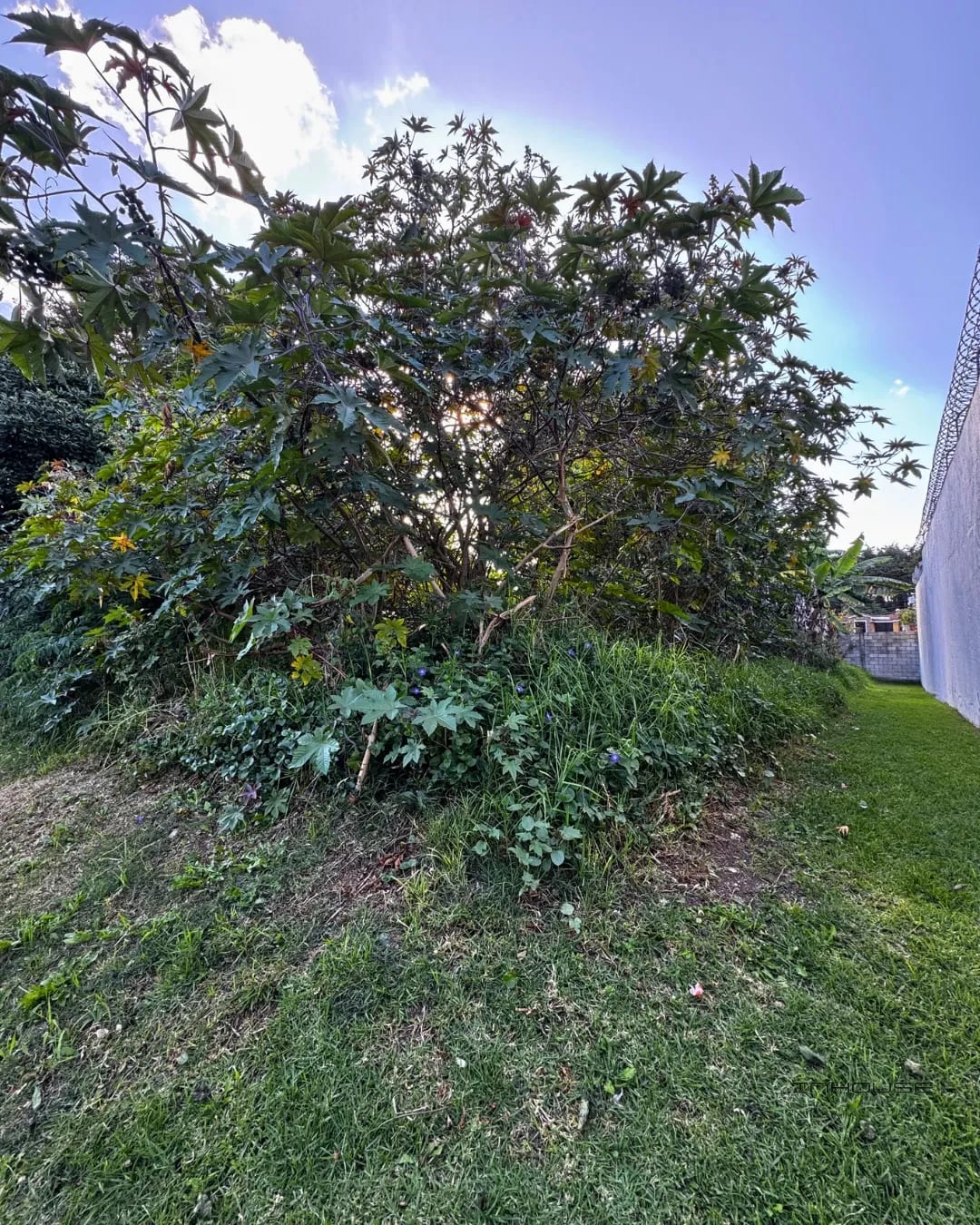 TERRENO EN VENTA EN LOS ALPES SAN LUCAS — Terreno en Venta en San Lucas Sacatepéquez, Sacatepéquez — foto 3 de 6