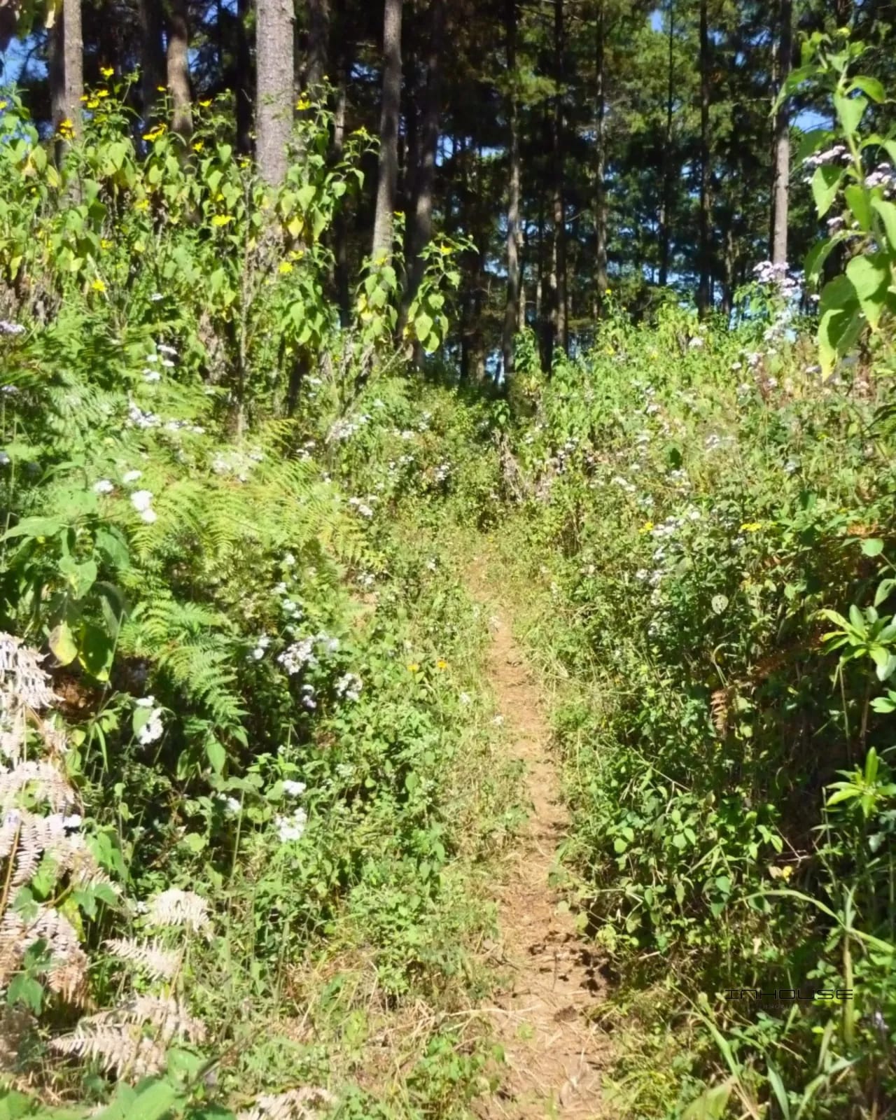 TERRENO DE 7 MANZANAS EN VENTA PIEDRA PARADA, SANTA CATARINA PINULA — Terreno en Venta en Carretera a El Salvador, Guatemala, Ciudad — foto 4 de 10