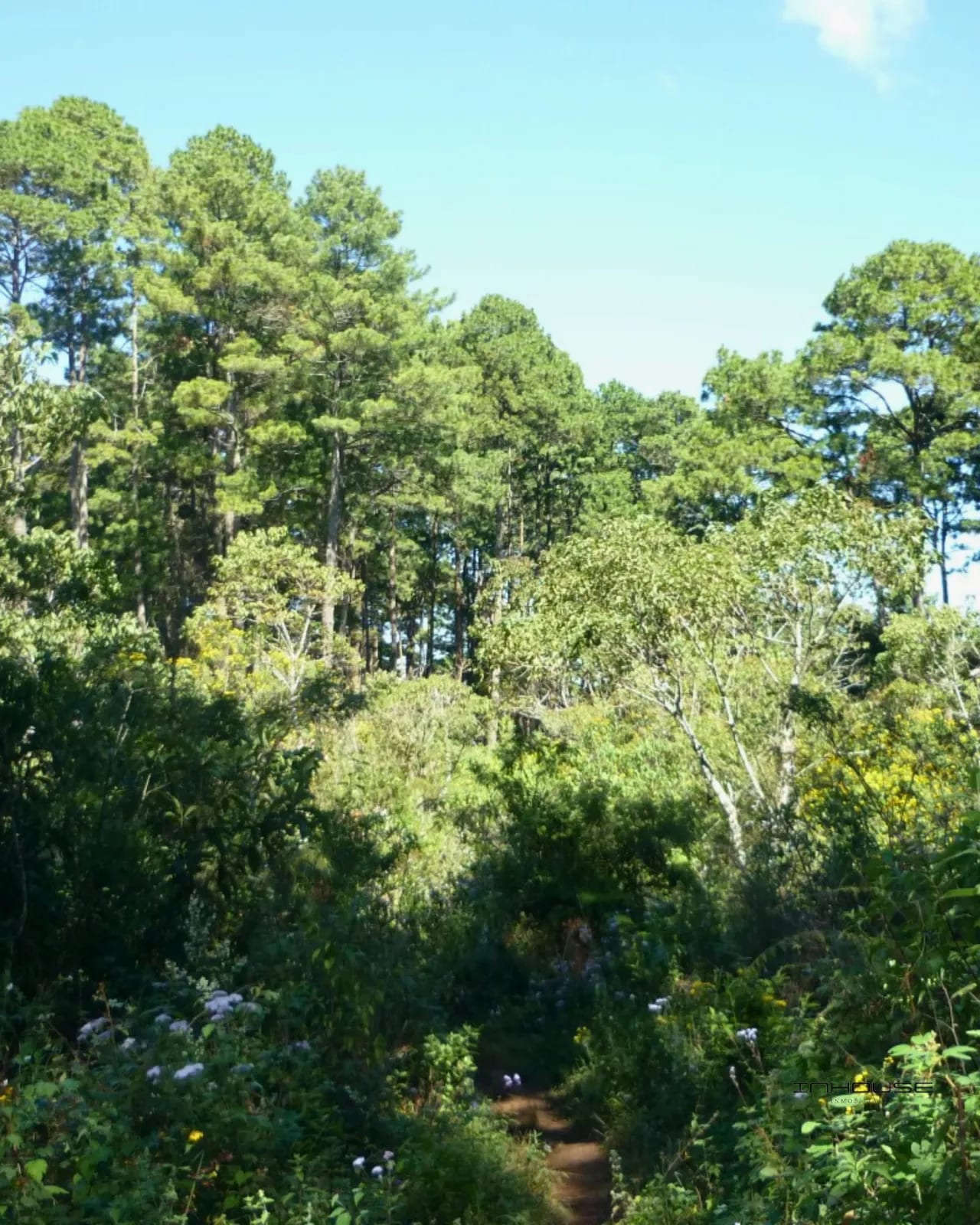 TERRENO DE 7 MANZANAS EN VENTA PIEDRA PARADA, SANTA CATARINA PINULA — Terreno en Venta en Carretera a El Salvador, Guatemala, Ciudad — foto 8 de 10