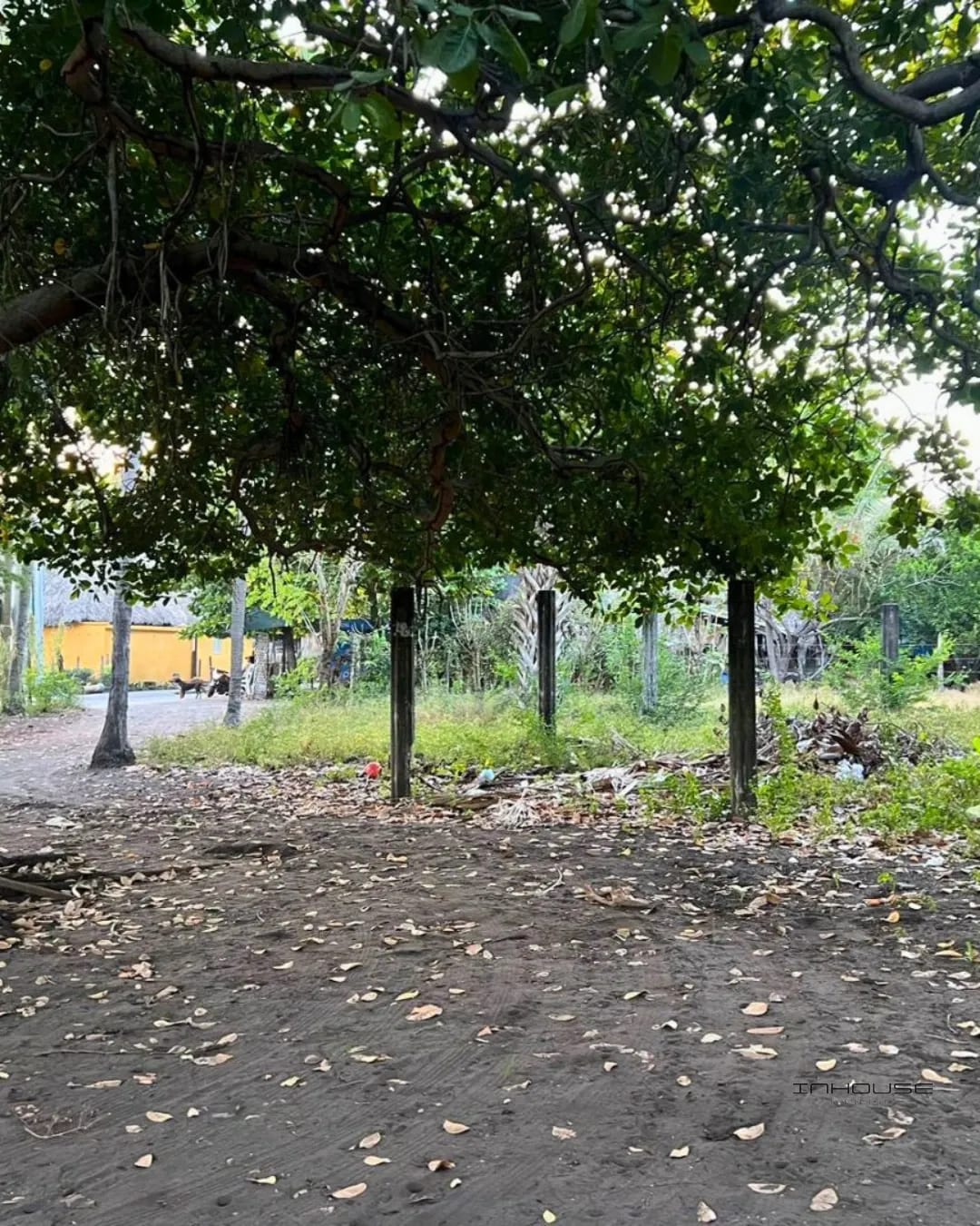 Terreno en Venta en Monterrico a Pocos Metros de la Playa — Terreno en Venta en Monterrico, Santa Rosa — foto 6 de 10