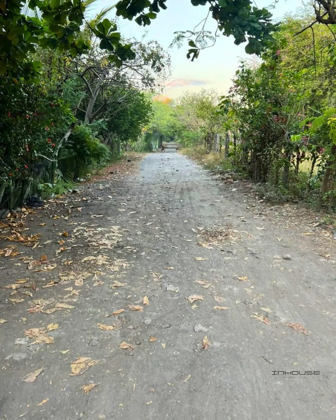 Terreno en Venta en Monterrico a Pocos Metros de la Playa — Terreno en Venta en Monterrico, Santa Rosa — foto 9 de 10