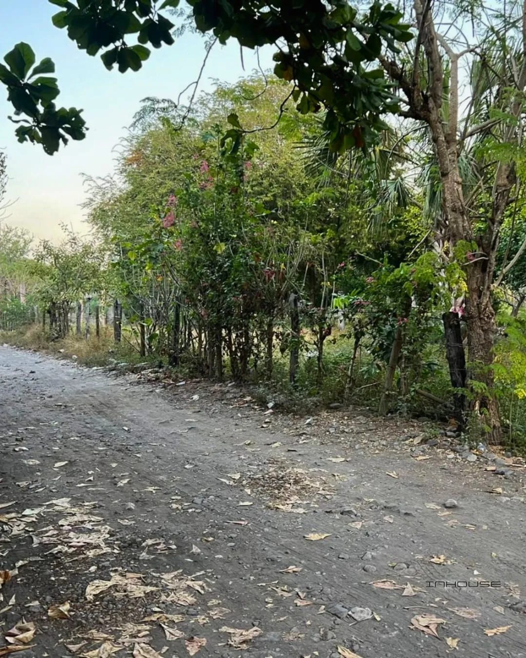 Terreno en Venta en Monterrico a Pocos Metros de la Playa — Terreno en Venta en Monterrico, Santa Rosa — foto 10 de 10