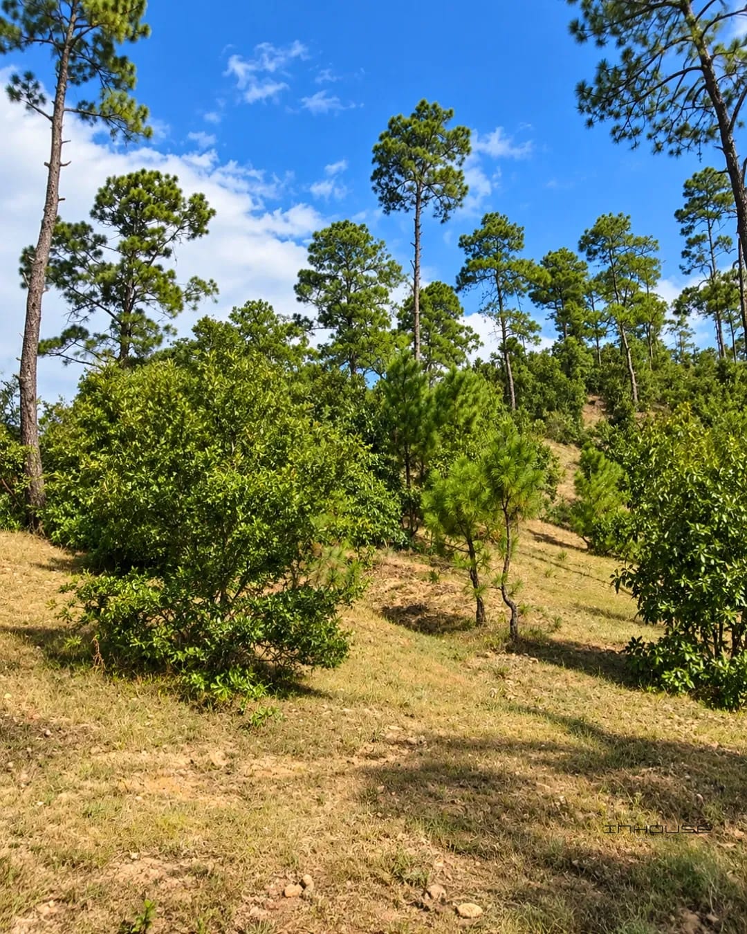 Terreno en Venta a Cinco Minutos del Parque Central de Huehuetenango — Terreno en Venta en Huehuetenango, Huehuetenango — foto 4 de 5