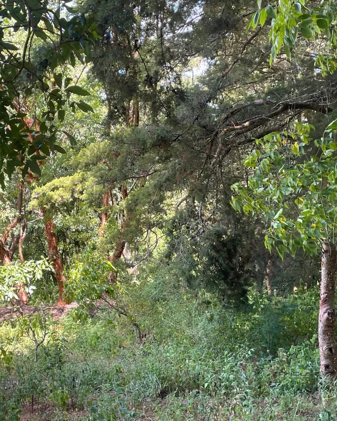 Terreno en Venta en Santa Lucia Milpas Altas KM 28 — Terreno en Venta en Santa Lucía Milpas Altas, Sacatepéquez — foto 6 de 7