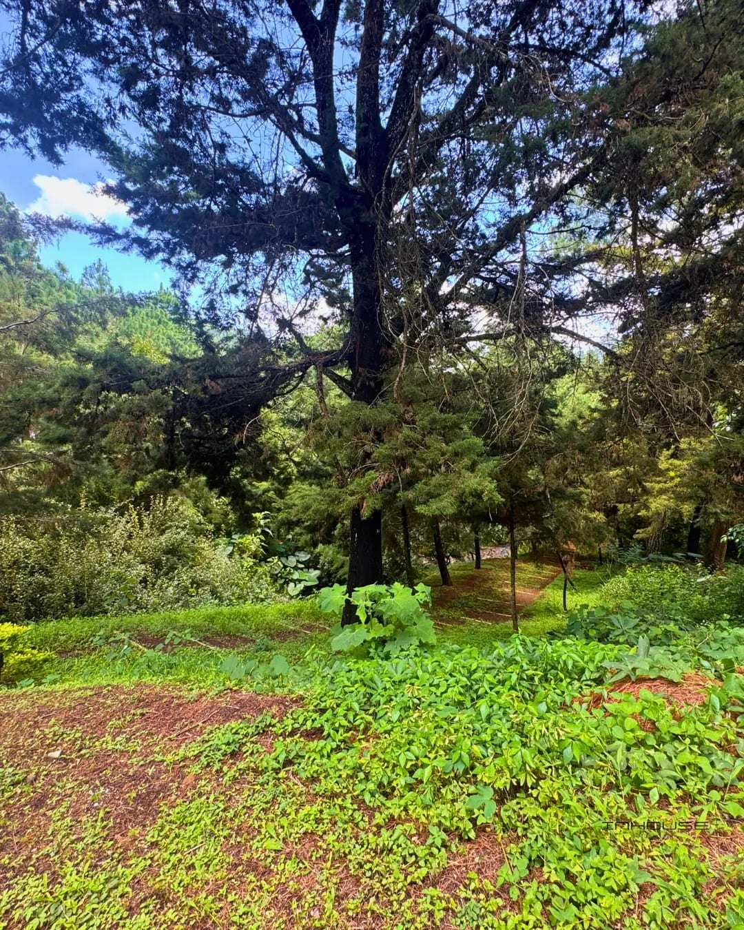Terreno en Venta Zona 16, la Reserva - el Pulté — Apartamento en Venta en El Pulté, Zona 16, Guatemala, Ciudad — foto 6 de 10