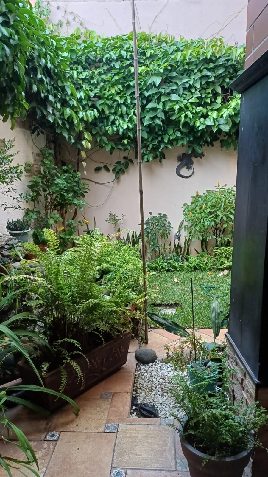 Casa en Alquiler en Residencial dentro de garita en zona 16 — Casa en Alquiler en MonteSolar, Zona 16, Guatemala, Ciudad — foto 7 de 12