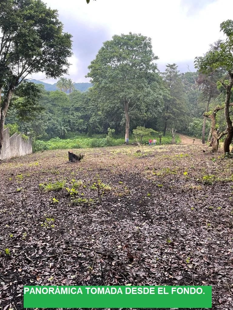 TERRENO EN VENTA EN LAGUNA DEL PINO BARBERENA — Terreno en Venta en Laguna del Pino, Barberena, Santa Rosa — foto 5 de 17