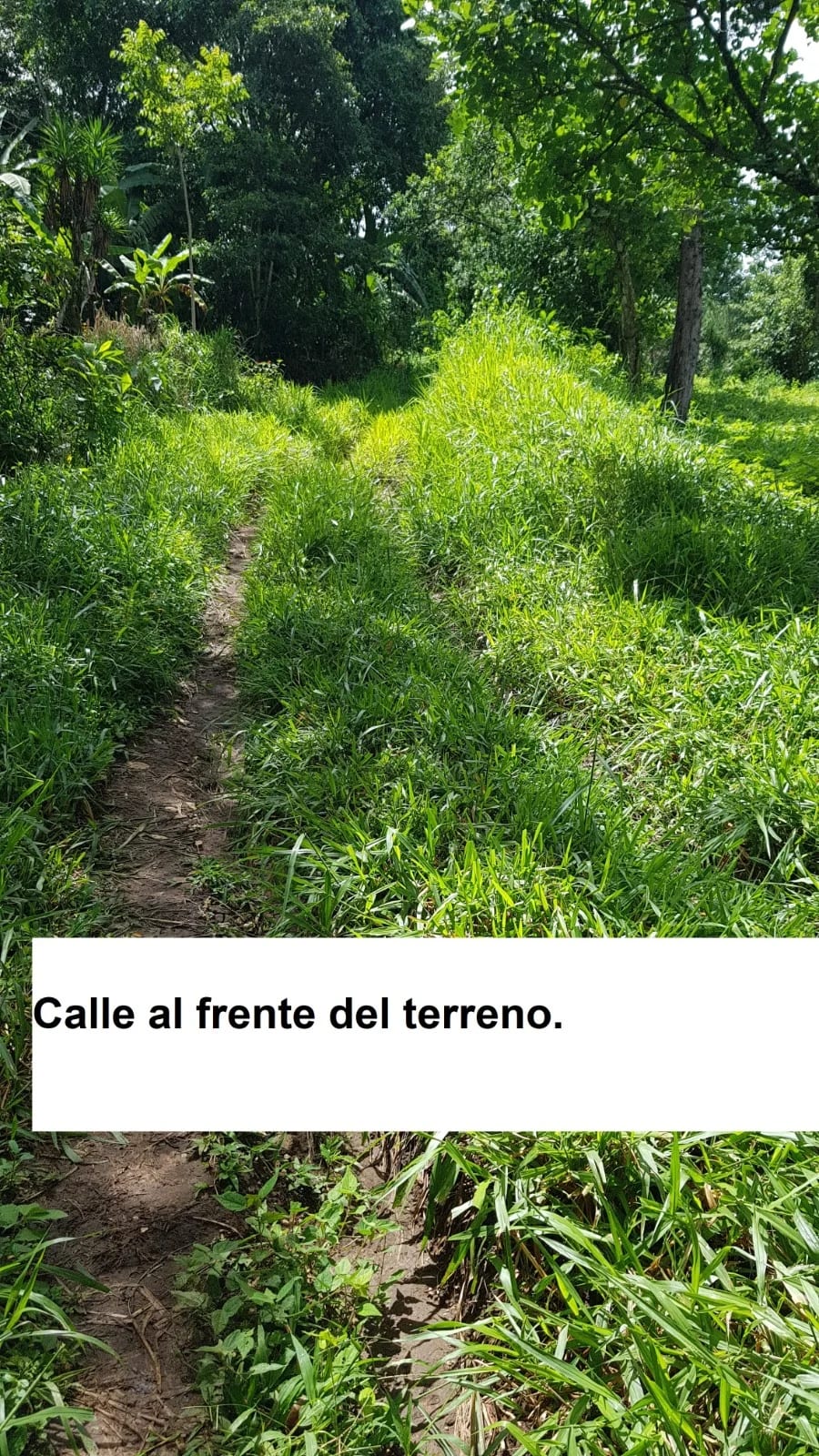 TERRENO EN VENTA EN LAGUNA DEL PINO BARBERENA — Terreno en Venta en Laguna del Pino, Barberena, Santa Rosa — foto 9 de 17