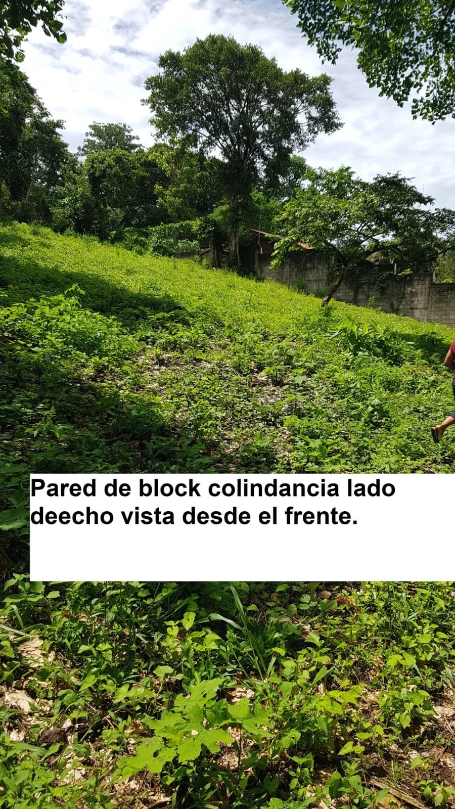 TERRENO EN VENTA EN LAGUNA DEL PINO BARBERENA — Terreno en Venta en Laguna del Pino, Barberena, Santa Rosa — foto 12 de 17