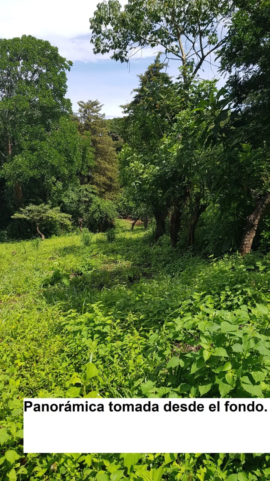 TERRENO EN VENTA EN LAGUNA DEL PINO BARBERENA — Terreno en Venta en Laguna del Pino, Barberena, Santa Rosa — foto 14 de 17