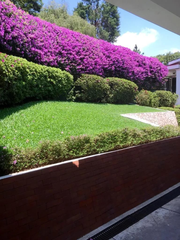 VENDO AMPLIA CASA EN ELGIN II ZONA 13 +1 — Casa en Venta en Elgin, Zona 13, Guatemala, Ciudad — foto 3 de 17