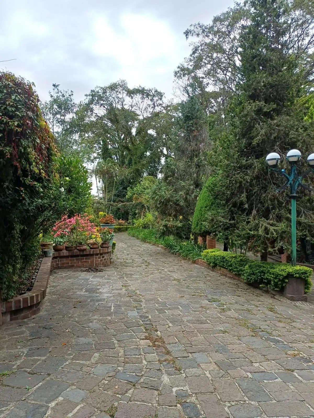 Para Eventos Amplia Casa en Alquiler en el KM. 19.5 a San Lucas — Casa en Alquiler en Zona 1 Mixco, Guatemala, Ciudad — foto 14 de 17