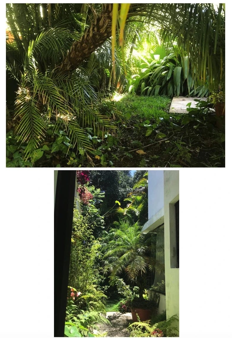 Vendo Casa en Zona 15 – Vh I + 1 — Casa en Venta en Vista Hermosa I, Zona 15, Guatemala, Ciudad — foto 3 de 10