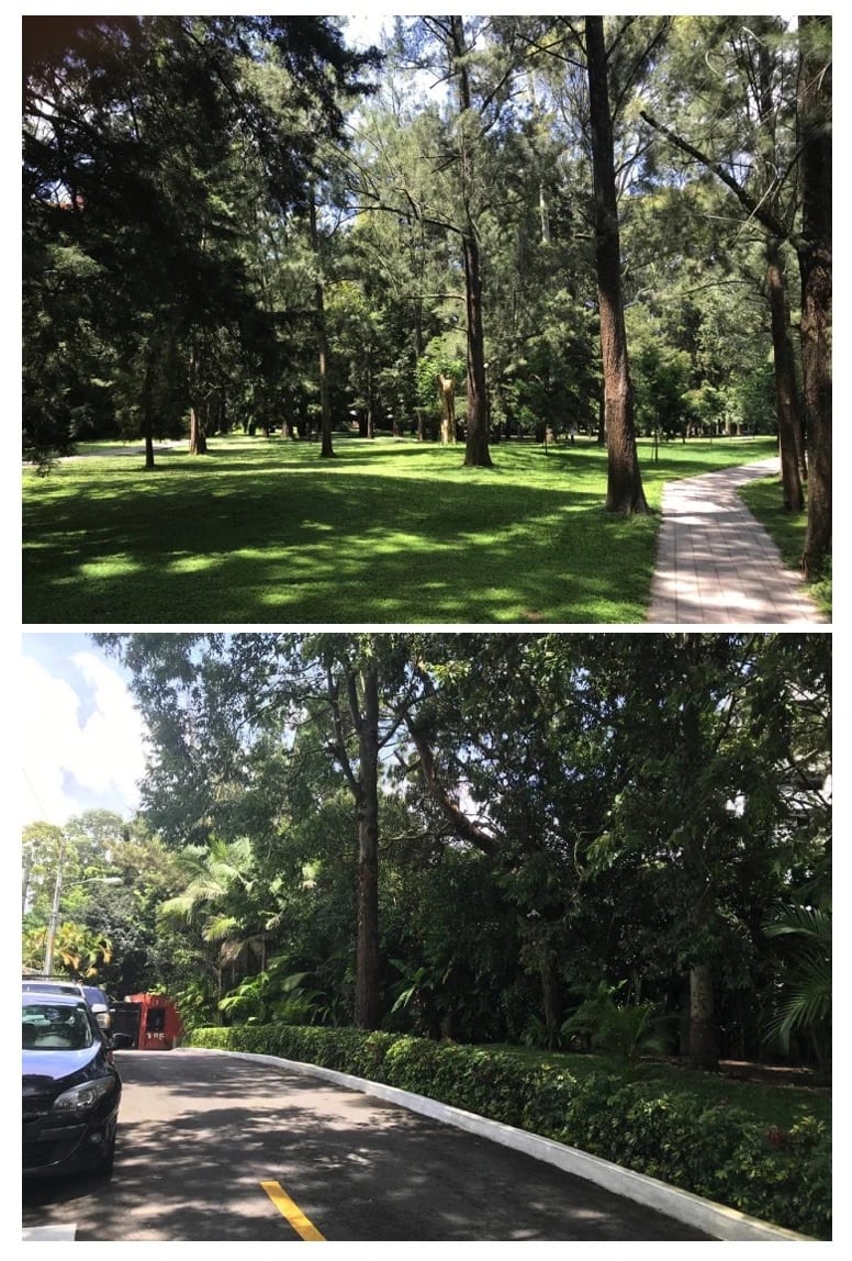 Vendo Casa en Zona 15 – Vh I + 1 — Casa en Venta en Vista Hermosa I, Zona 15, Guatemala, Ciudad — foto 8 de 10