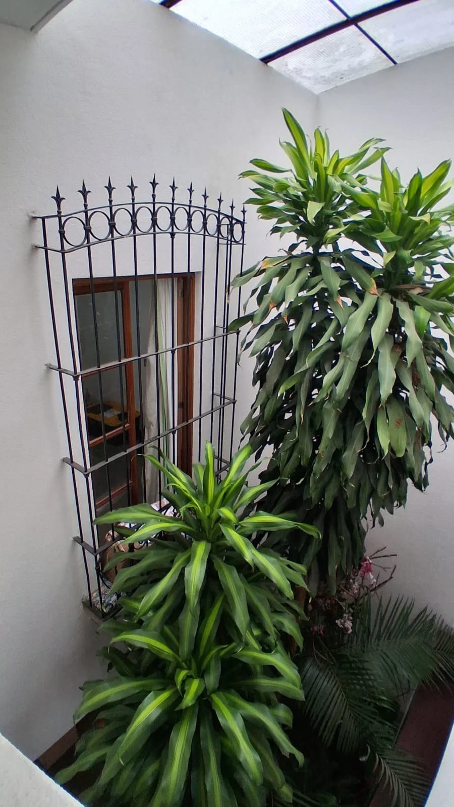 Casa en Renta Zona 10 Colonia Oakland Área: 360 Mts² para Oficinas — Casa en Alquiler en Oakland I, Zona 10, Guatemala, Ciudad — foto 5 de 17