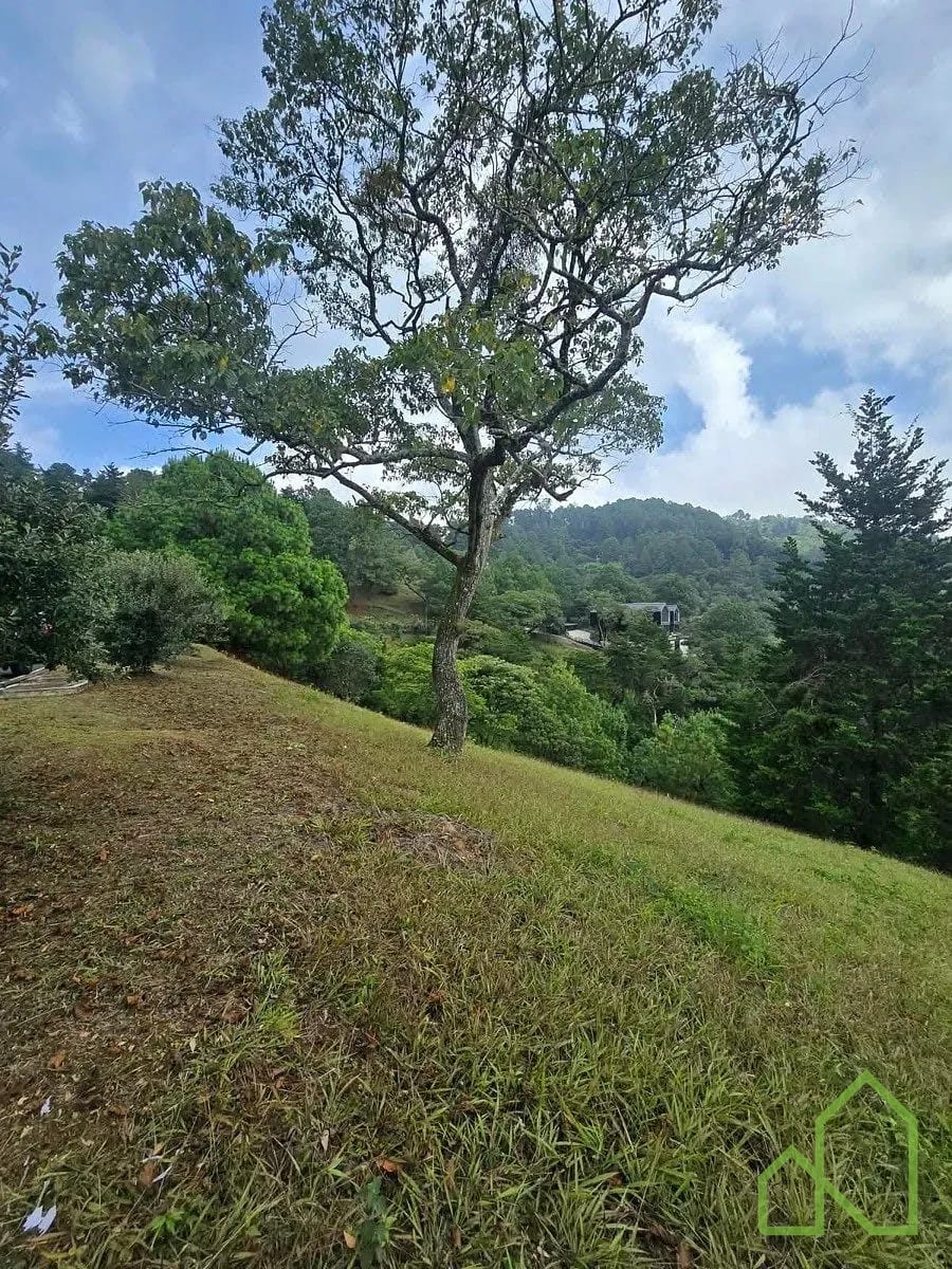 Terreno 3,938v2 en Arboleda El Pulté — Terreno en Venta en Zona 16, Guatemala, Ciudad — foto 6 de 7