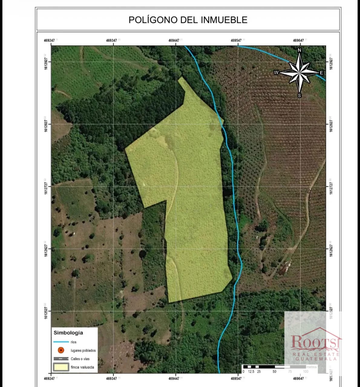 Finca Productora de Aguacate Hass en Venta | Pastores, Sacatepéquez — Finca en Venta en Parramos, Chimaltenango — foto 2 de 3