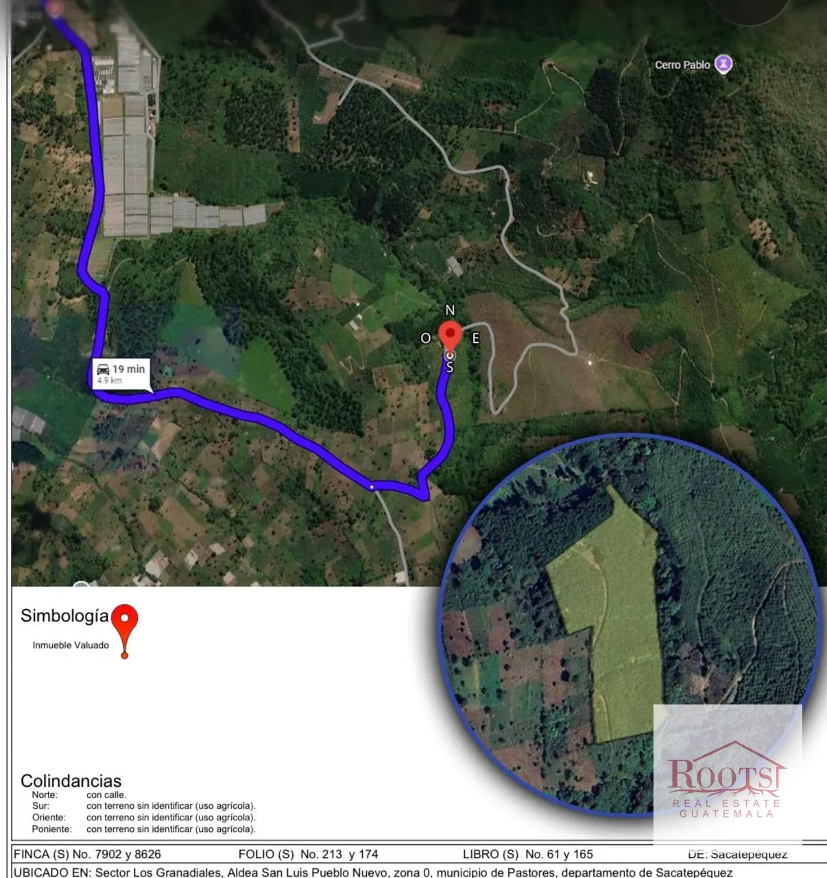 Finca Productora de Aguacate Hass en Venta | Pastores, Sacatepéquez — Finca en Venta en Parramos, Chimaltenango — foto 3 de 3