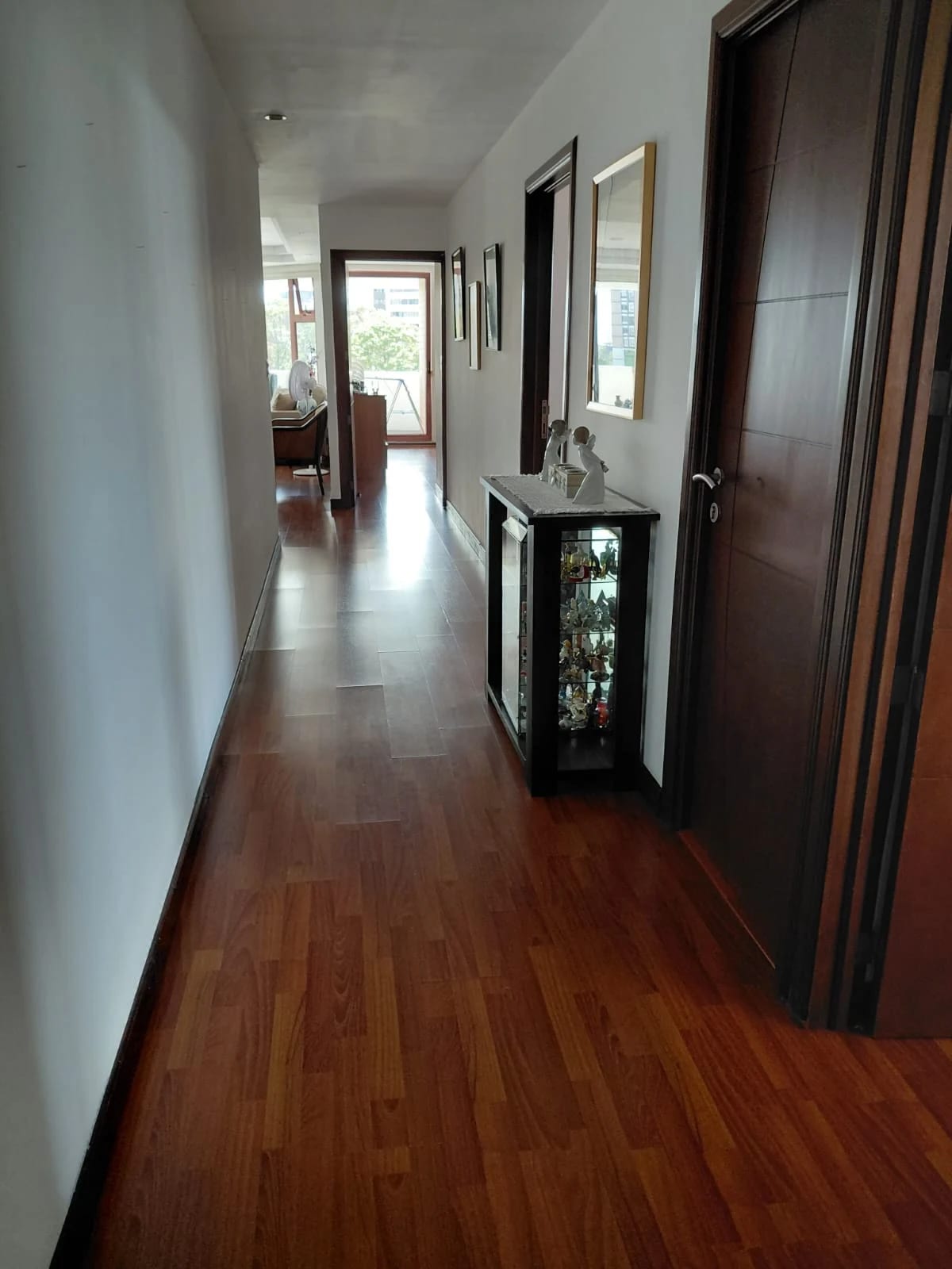 Venta de amplio apartamento en zona 15 V1 — Apartamento en Venta en Verdeterno, Zona 15, Guatemala, Ciudad — foto 3 de 15