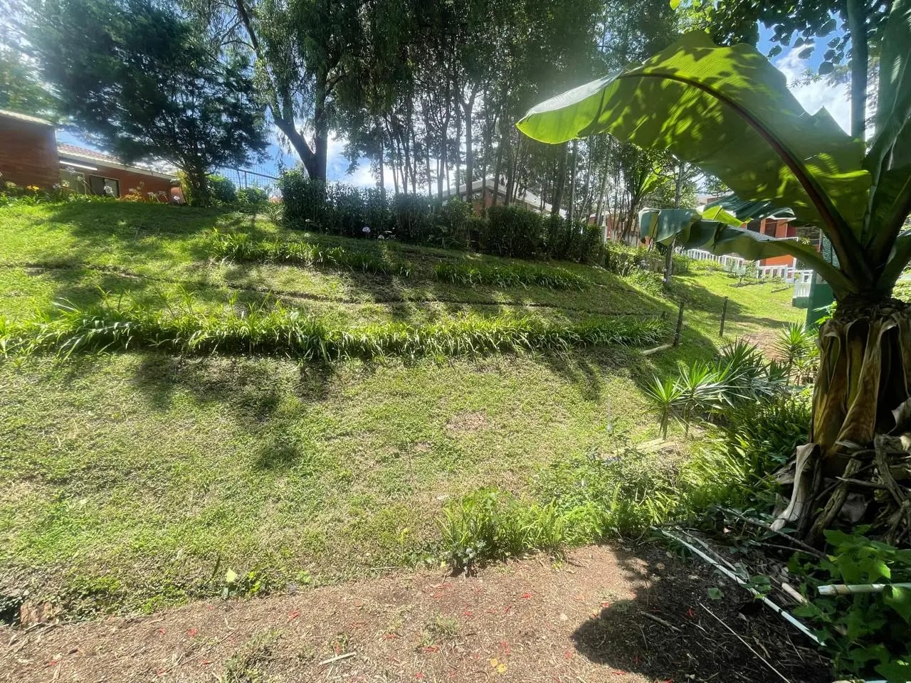 Amplia Casa en renta Arrazola — Casa en Alquiler en Arrazola III, Carretera a El Salvador, Guatemala, Ciudad — foto 14 de 16