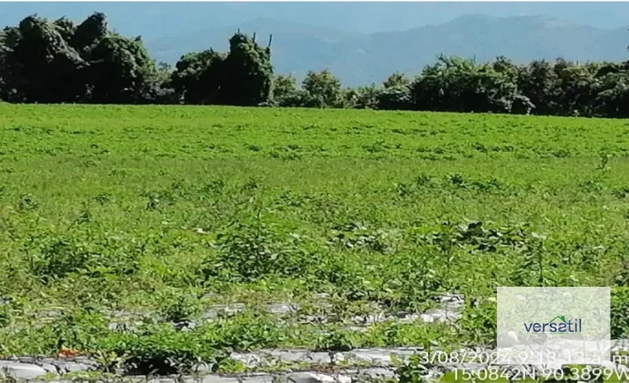 Vendo 10 manzanas en Salamá, baja Verapaz — Terreno en Venta en San Miguel Chicaj, Baja Verapaz — foto 1 de 3