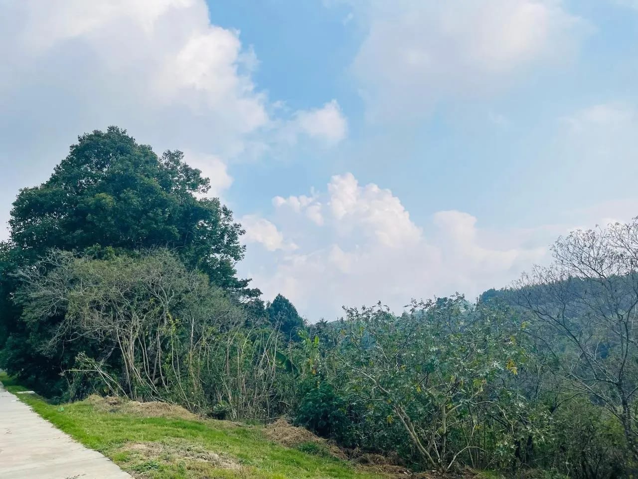 Terreno en Venta – el Sausalito, KM 19.8, Entrada a Fraijanes — Terreno en Venta en Carretera a El Salvador, Guatemala, Ciudad — foto 3 de 4