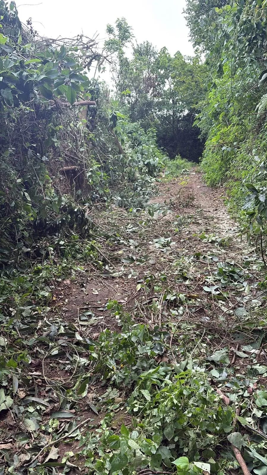 Patzcia Se Vende Finca Kilómetro 76 Camino Acatenango — Terreno en Venta en Patzicía, Chimaltenango — foto 1 de 2