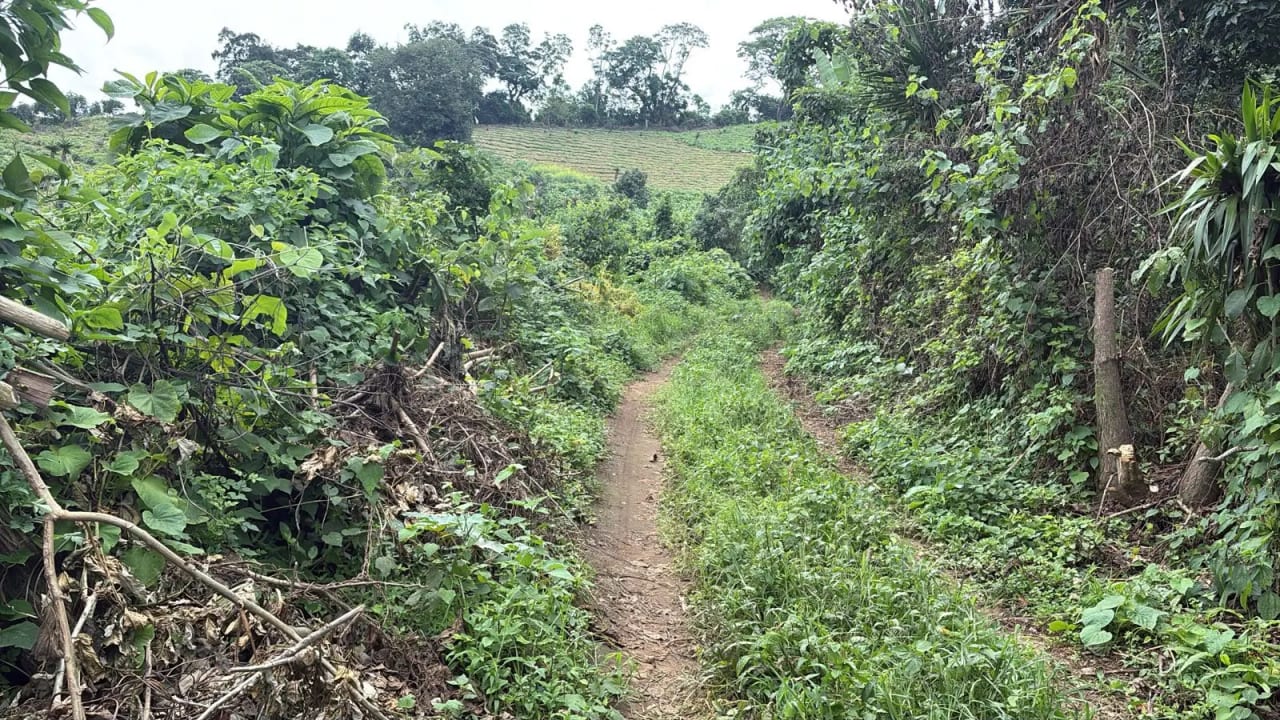 Patzcia Se Vende Finca Kilómetro 76 Camino Acatenango — Terreno en Venta en Patzicía, Chimaltenango — foto 2 de 2