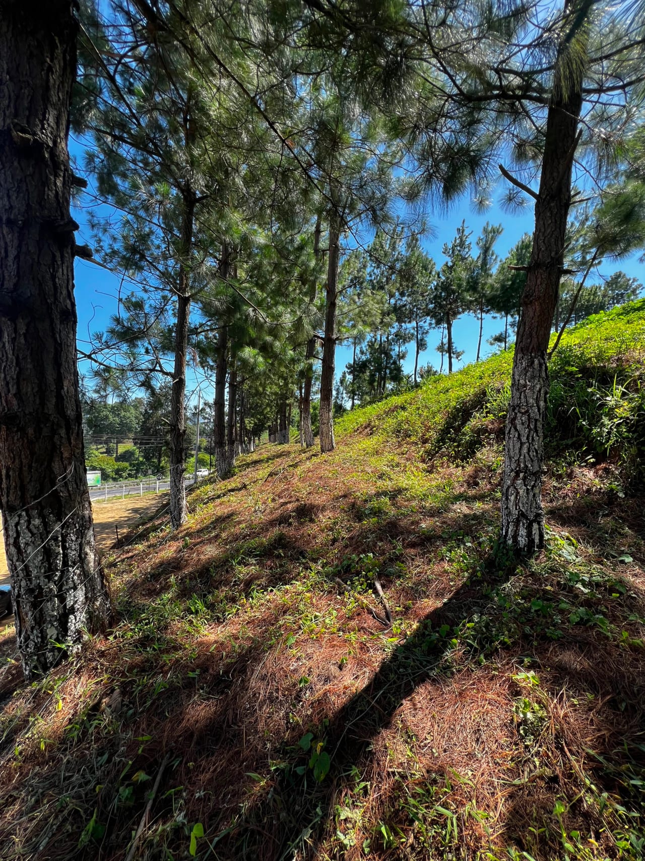 Oportunidad de Inversión en Sumpango — Terreno en Venta en Sumpango, Sacatepéquez — foto 1 de 3