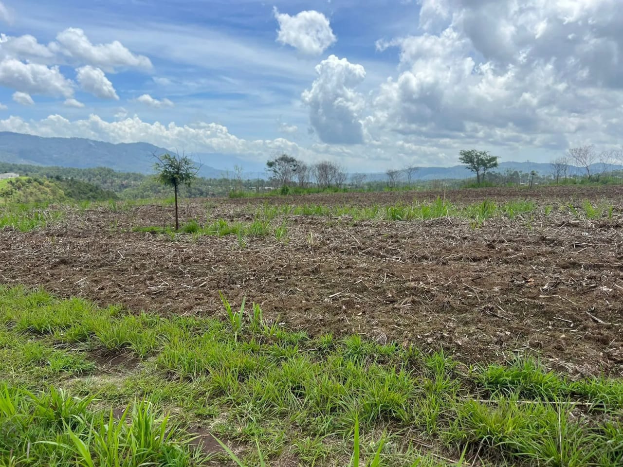 Se Vende Linda Propiedad en Chimaltenango — Terreno en Venta en San Martín Jilotepeque, Chimaltenango — foto 1 de 2
