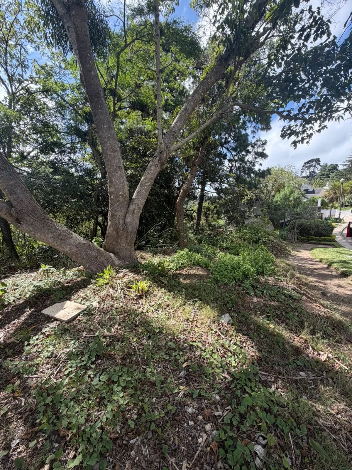 Terrenos en venta - km 10.5 Caes Vista al Valle — Terreno en Venta en Carretera a El Salvador, Guatemala, Ciudad — foto 2 de 6