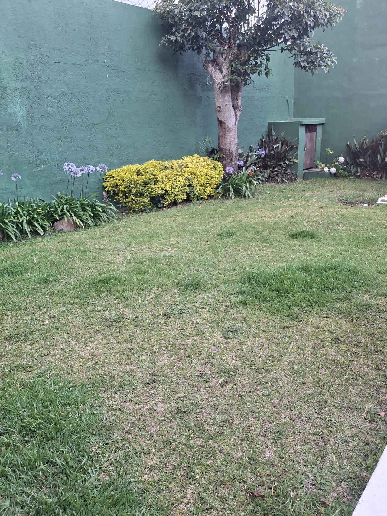 Amplio Jardin y Pergola Casa en Venta KM 19 Carr a el Salvador por Sta — Casa en Venta en Villas del Pinar, Carretera a El Salvador, Guatemala, Ciudad — foto 3 de 11