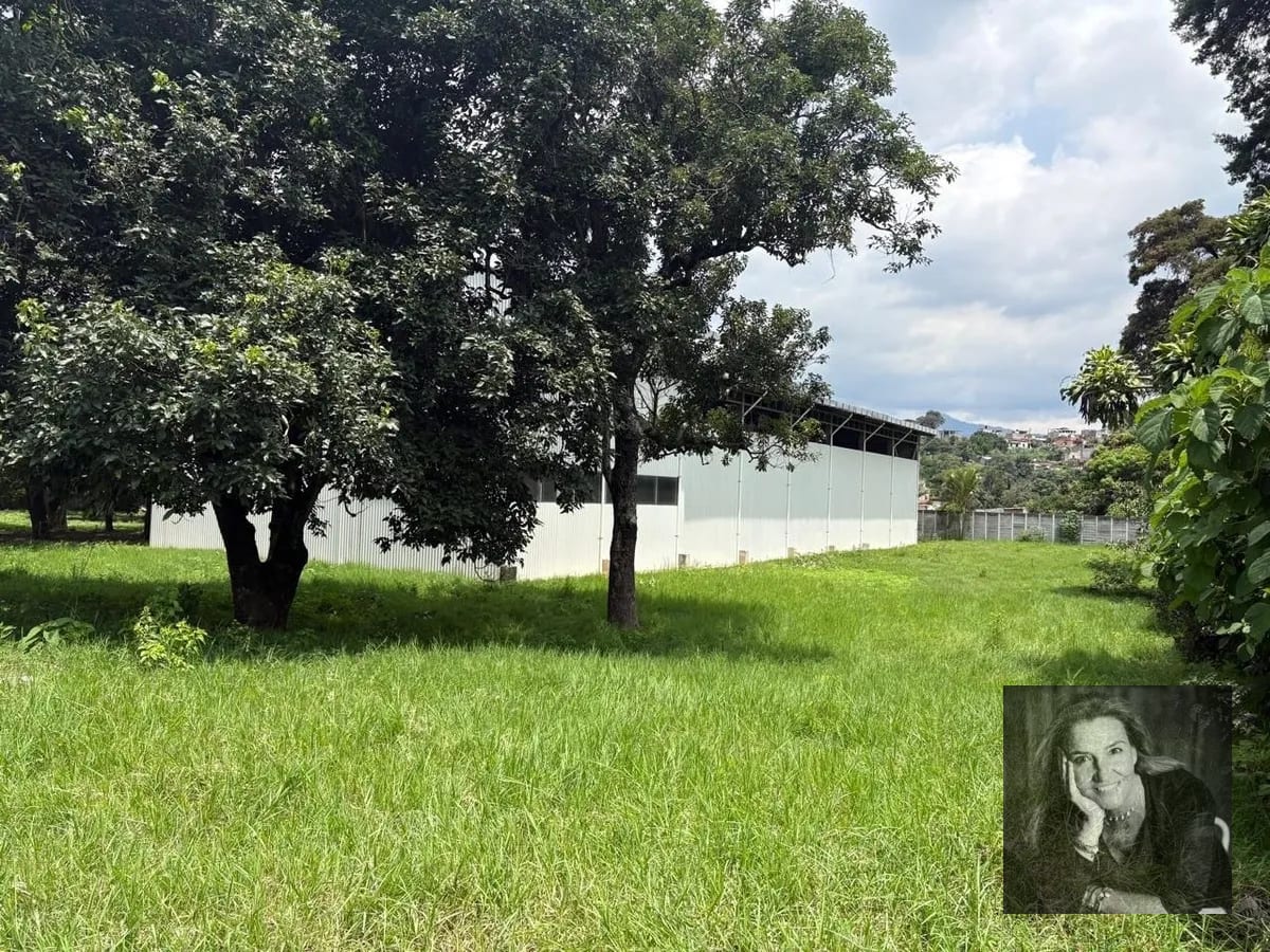 Bodega Industrial en VENTA – Sector VAS / Villa Nueva — Bodega / Ofibodega en Venta en San Miguel Petapa, Guatemala, Ciudad — foto 11 de 15