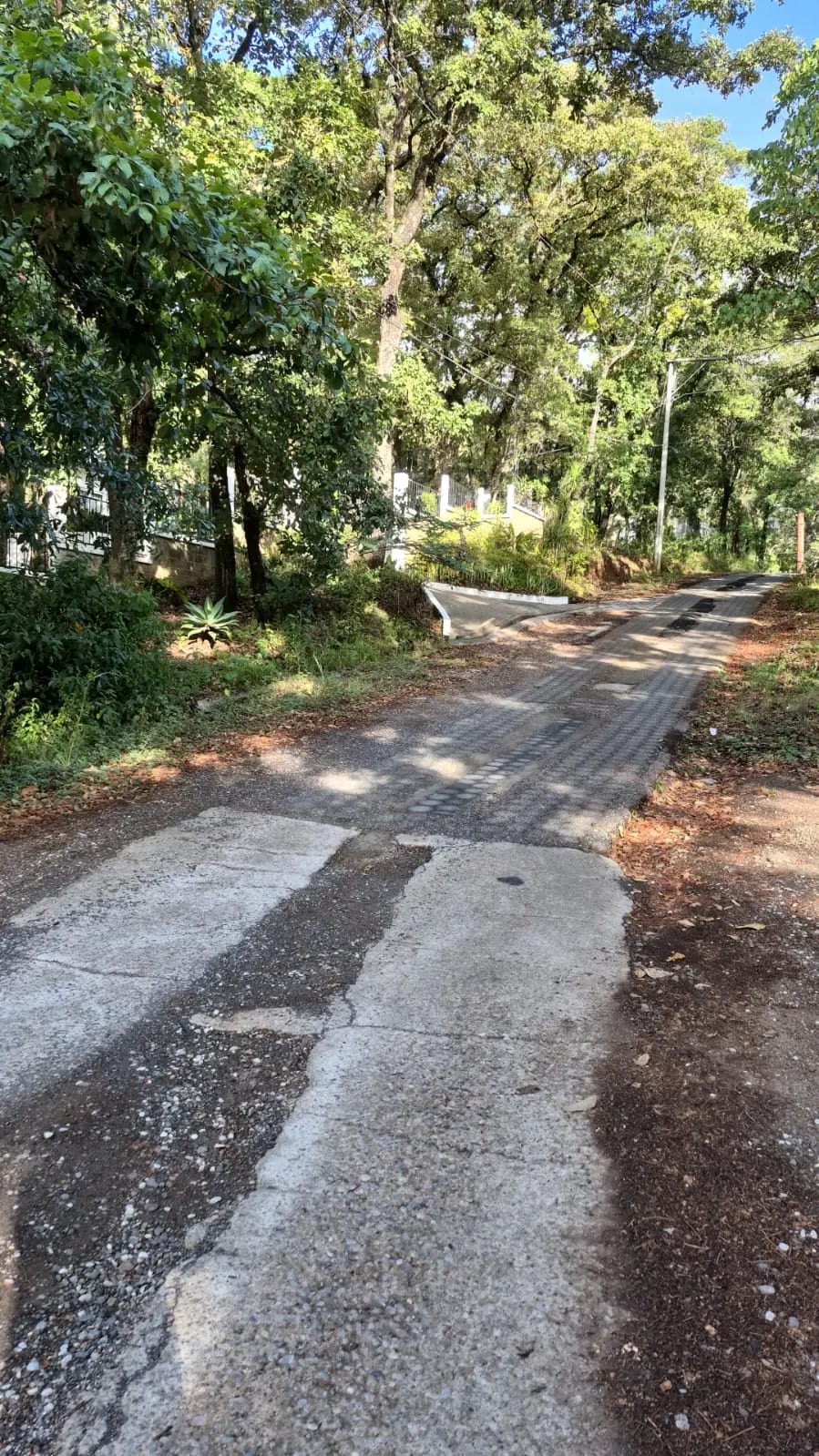 Terreno en Venta, Labor de Castilla — Terreno en Venta en San Lucas Sacatepéquez, Sacatepéquez — foto 4 de 6