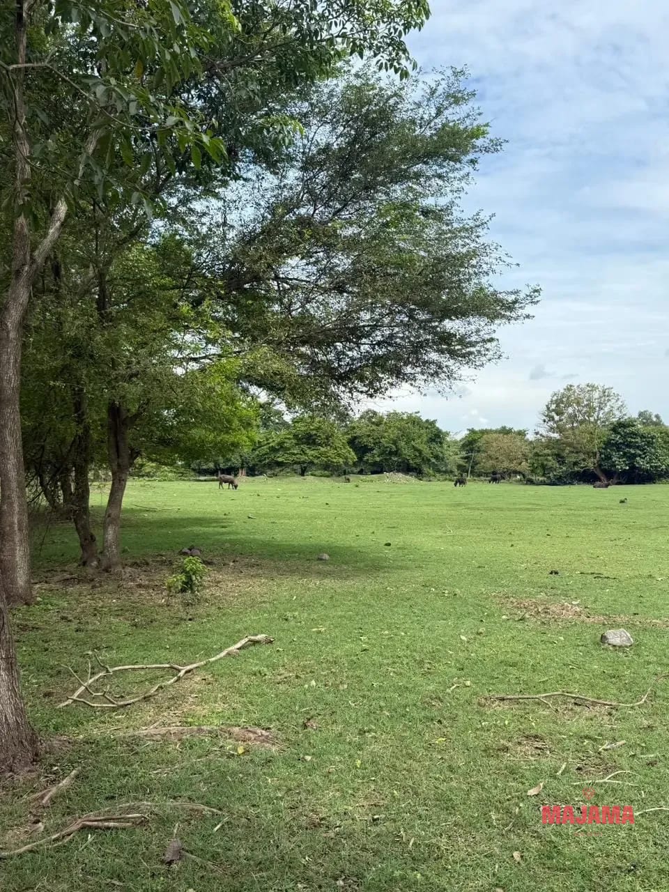 Terreno Industrial en Venta en Escuintla , 14 Mz - Codigo 10348803 — Terreno en Venta en Escuintla, Escuintla — foto 1 de 1
