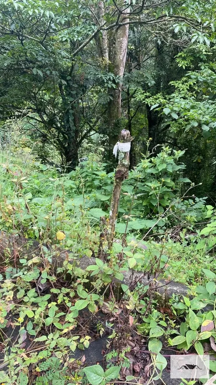 En Venta Terreno Santa Rosalia Km 12.5 CAES — Terreno en Venta en Carretera a El Salvador, Guatemala, Ciudad — foto 1 de 3