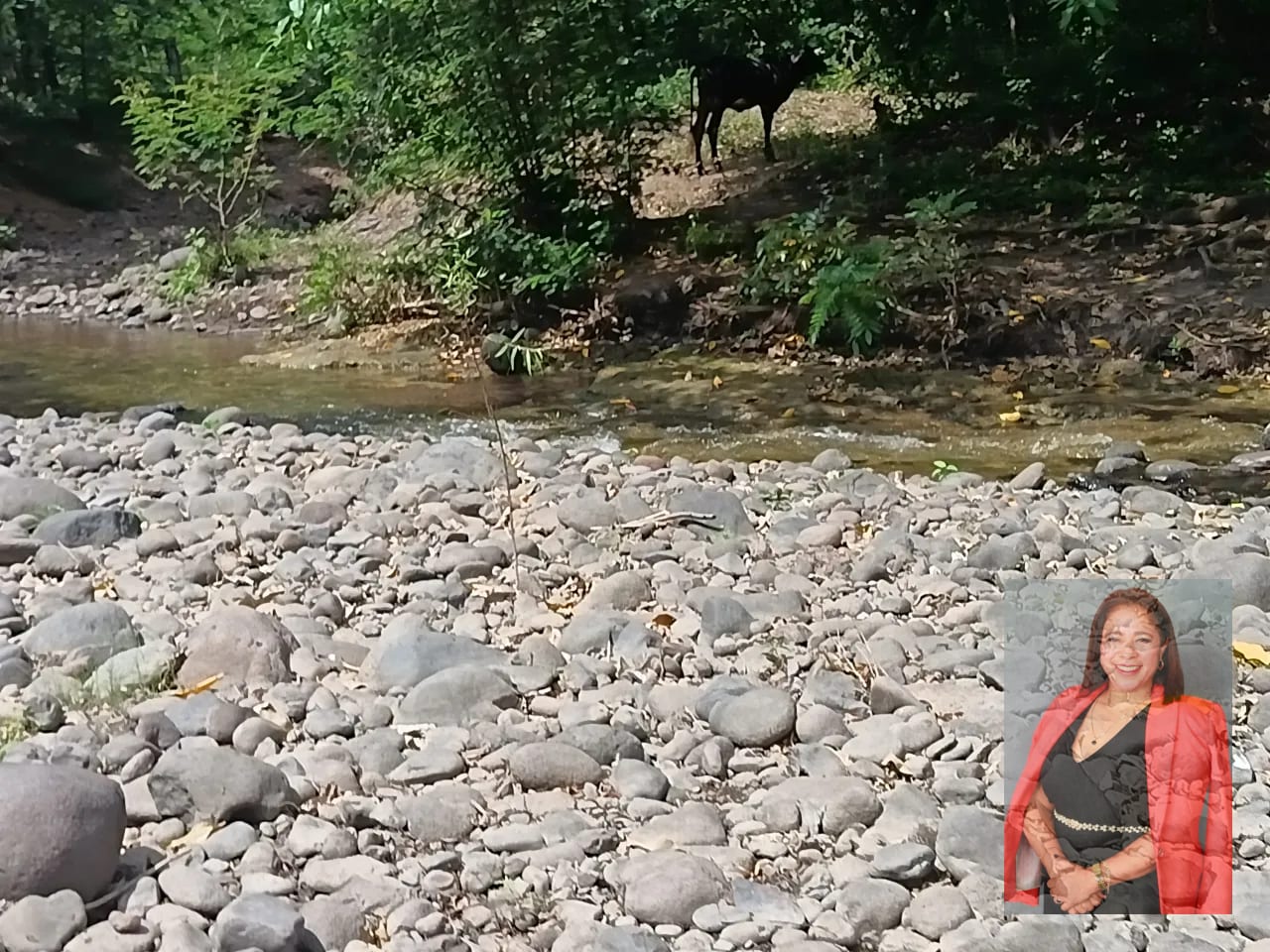15 caballerias en venta Oratorio Santa Rosa — Finca en Venta en Jalpatagua, Jutiapa — foto 1 de 8