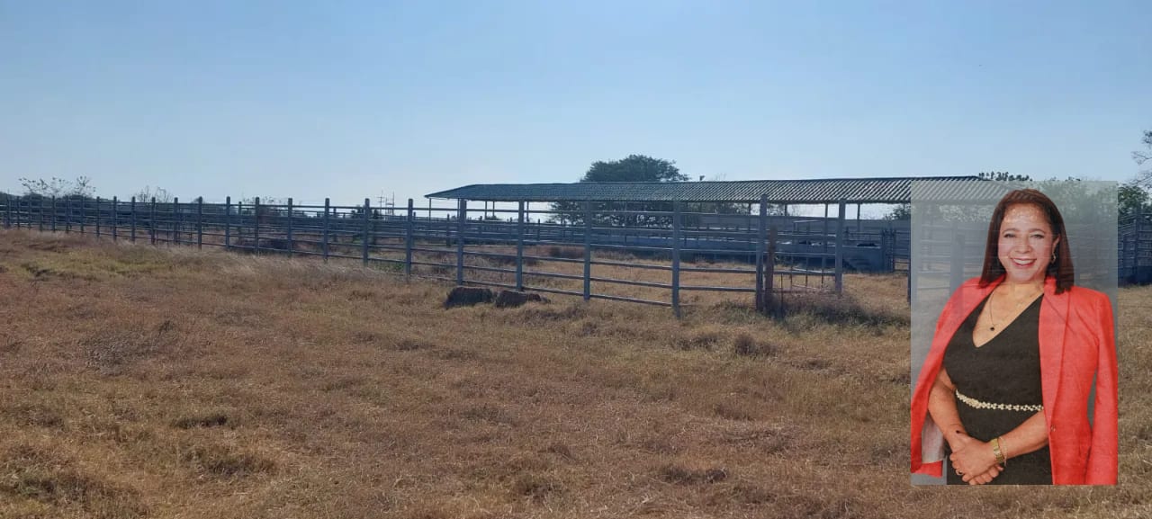 15 caballerias en venta Oratorio Santa Rosa — Finca en Venta en Jalpatagua, Jutiapa — foto 4 de 8